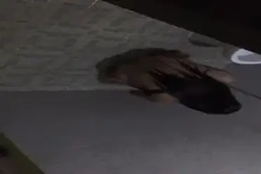 Dokumentasi Gadis Cantik Di Kamar Mandi Kasur poster
